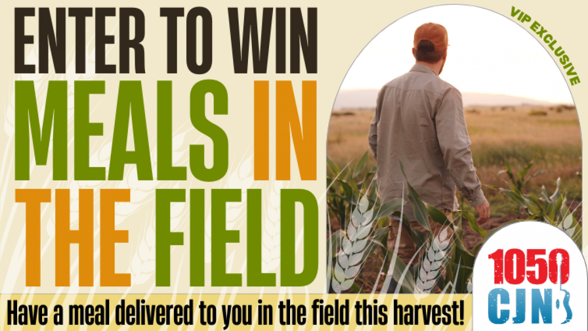 Meals In The Field 2025